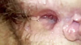 Ebony ora нь сүүн тахиа дээр тайвширдаг