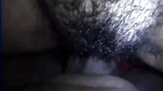 Тэр мэргэжлийн licks тахиа нь хүний хэн танилцуулж өөрийгөө