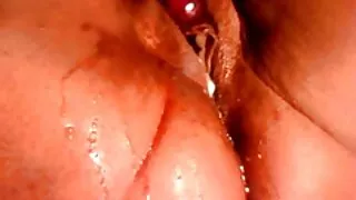 Хөгжилтэй дэгдээхэйн сунгасан дээр хойлог дээр илжиг